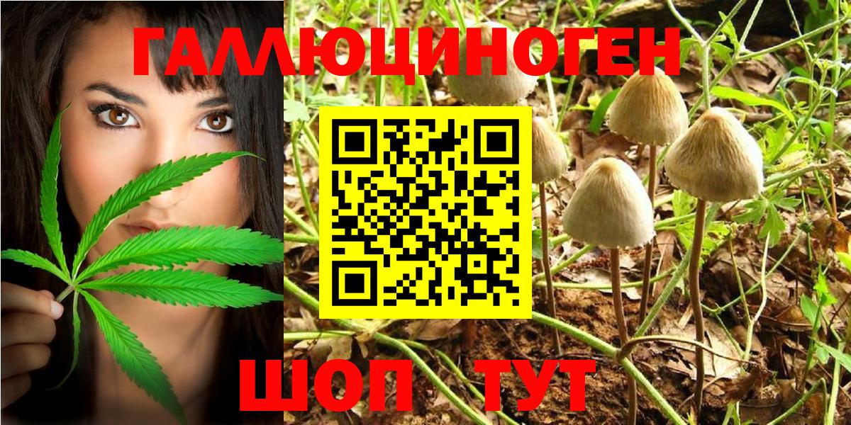 Псилоцибиновые грибы Magic Shrooms Зерноград